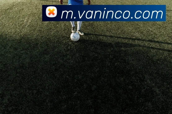 千亿体育服务体系